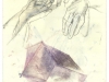 01_juwel