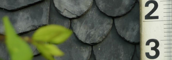 Fotobanner_280611_53