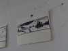 DSC06698 (1)